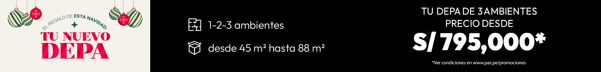 Promoción Proyecto Central