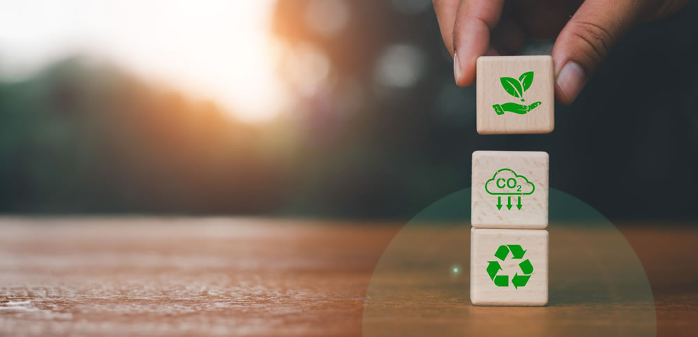 Departamentos sostenibles: vivir cuidando el medio ambiente
